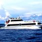 Wahana Virendra Fast Boat Terpercaya untuk Rute Bali, Gili, dan Lombok